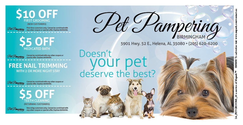 Pet Grooming Mock Advertisement Side 2